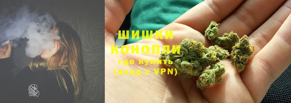 ALPHA PVP Инсар