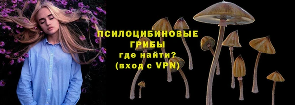 твердый Иннополис