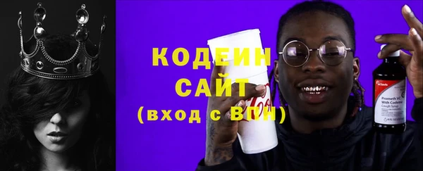 твердый Иннополис