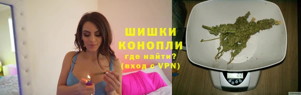твердый Иннополис