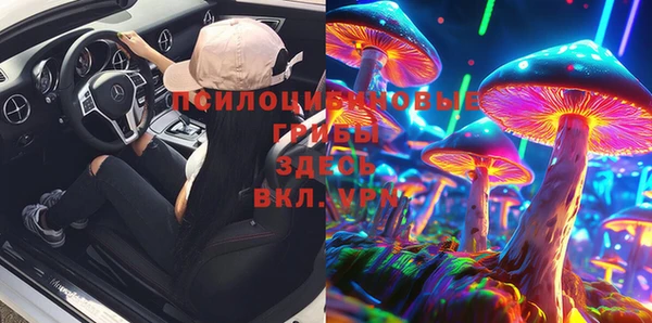 ALPHA PVP Инсар