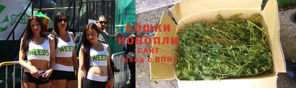 ALPHA PVP Инсар