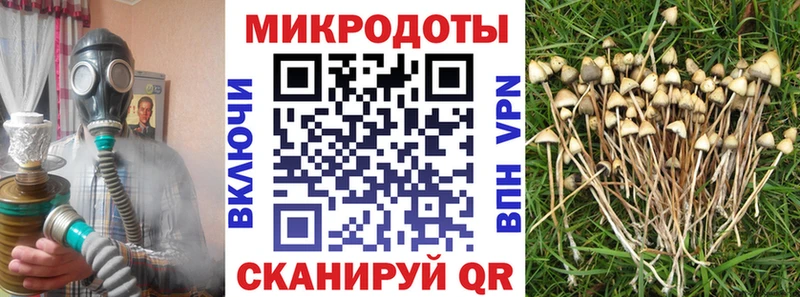 Купить  Кимовск  Галлюциногенные грибы Cubensis 